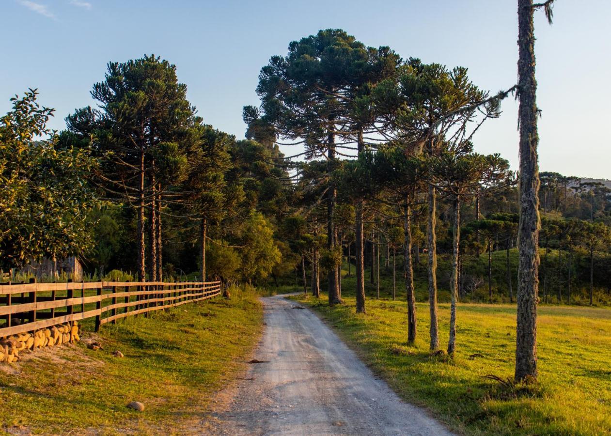 Hospedagem Rural Recanto Do Riacho Urubici Eksteriør billede