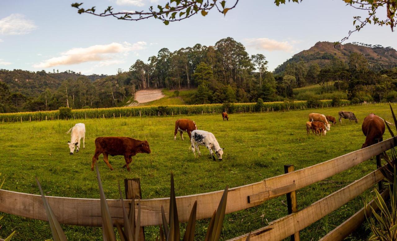 Hospedagem Rural Recanto Do Riacho Urubici Eksteriør billede